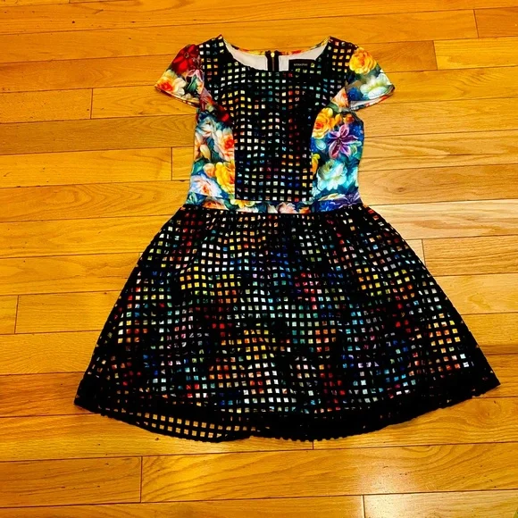 Modcloth Dresses | Gorgeous Rainbow A-Line Dress With Black Check Overlay From Modcloth | Color: Black/Pink | Size: S | Carolinegross's Closet